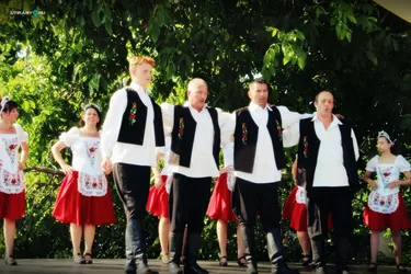 V. Sólyi Falunap