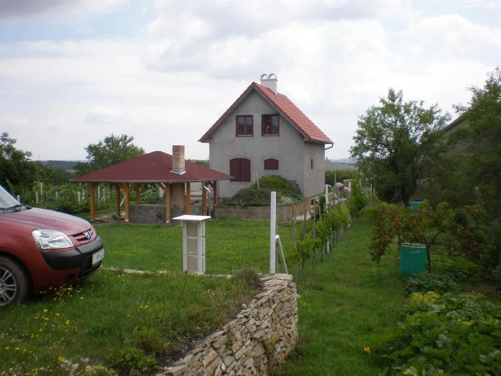 Szőlőhegy Fotók
