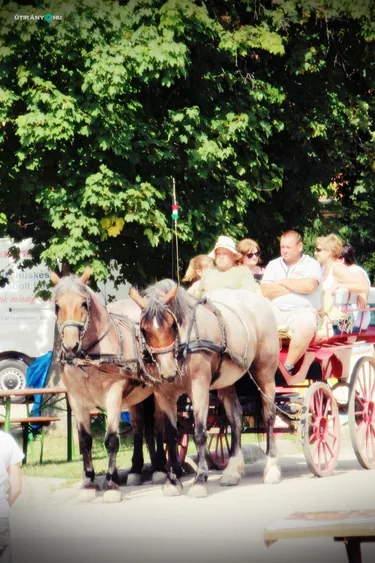 V. Sólyi Falunap