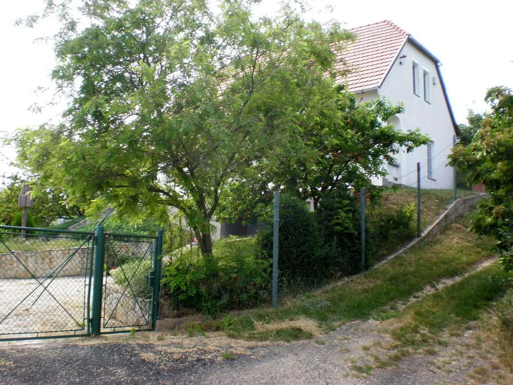 Szőlőhegy Fotók