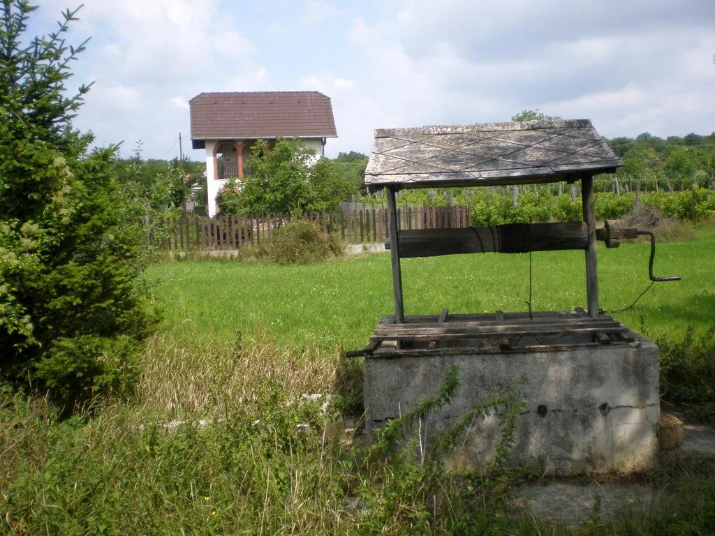Szőlőhegy Fotók