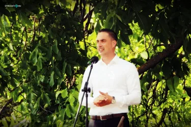 V. Sólyi Falunap