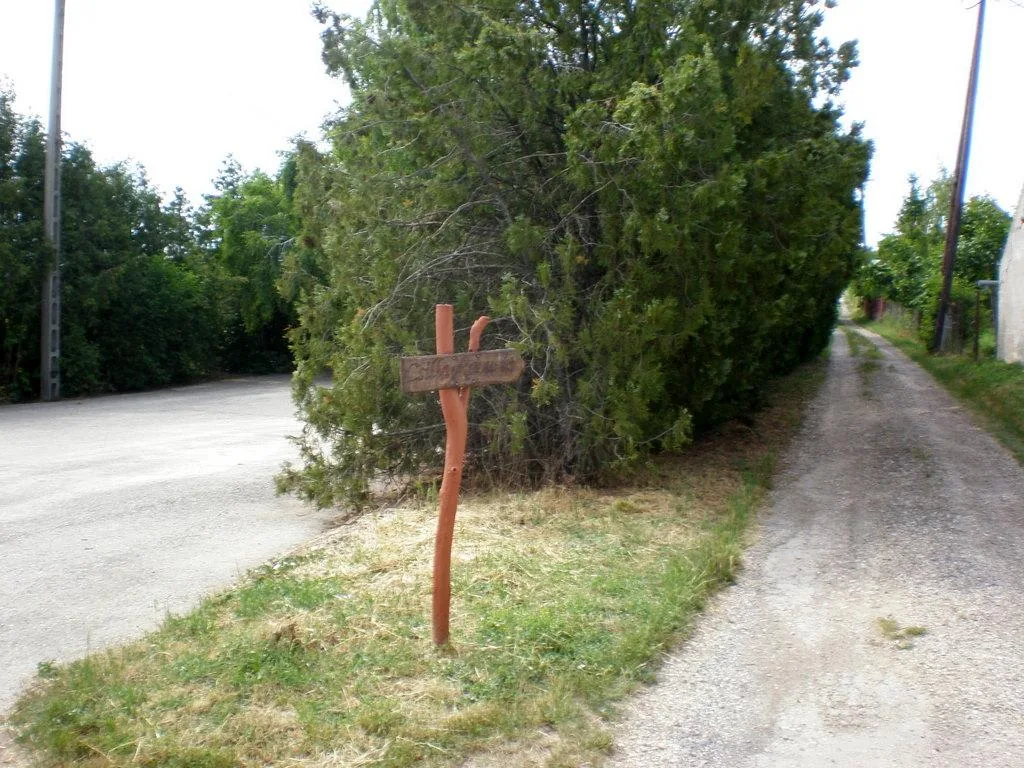Szőlőhegy Fotók