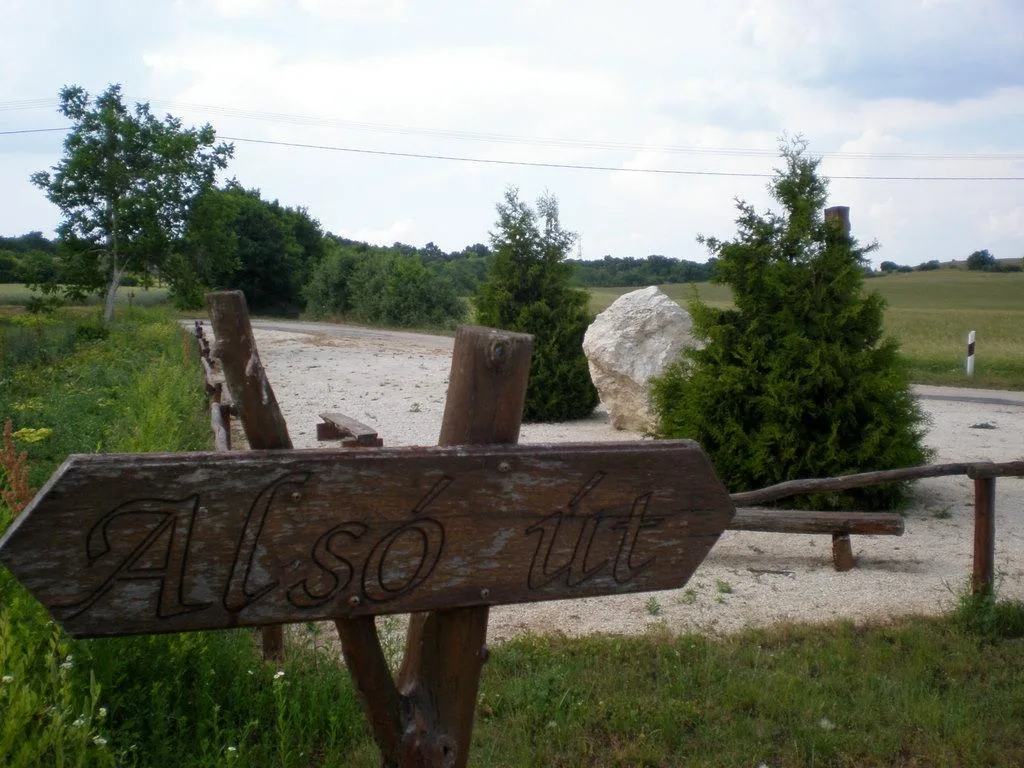 Szőlőhegy Fotók