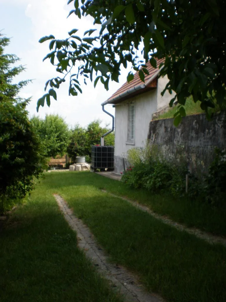Szőlőhegy Fotók
