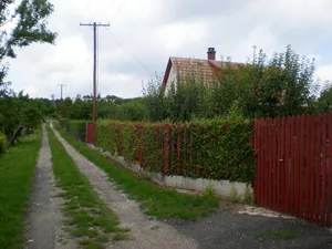 Szőlőhegy Fotók