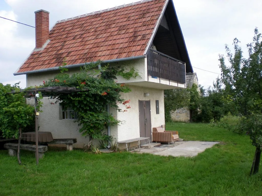 Szőlőhegy Fotók